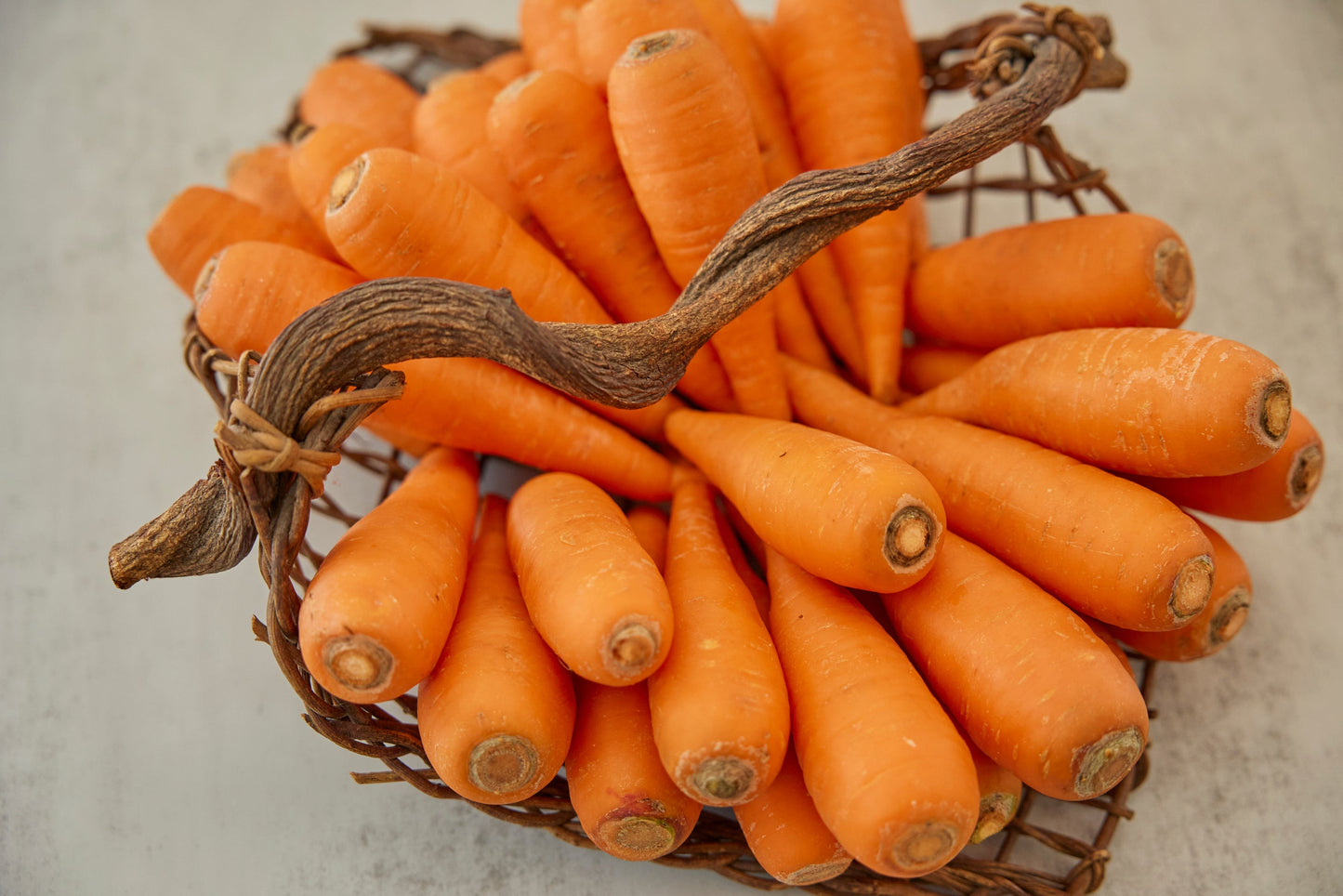 米粉キャロットケーキ(植物性原料100%使用)5個・ギフト箱入り