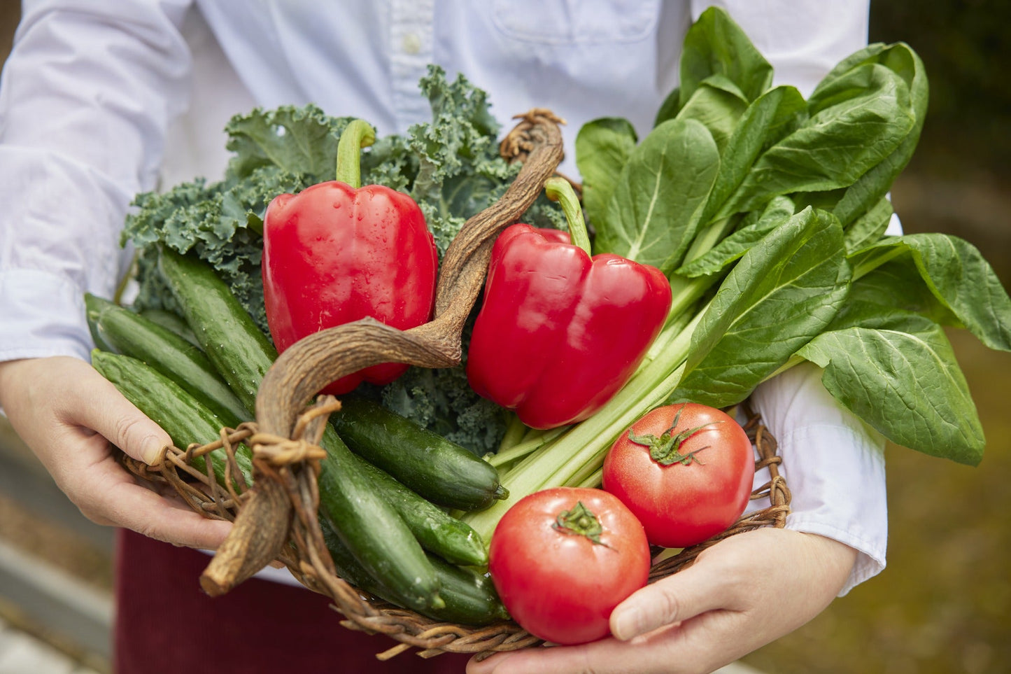 【定期購入】トマトとパプリカ(野菜ピュレ)14個セット